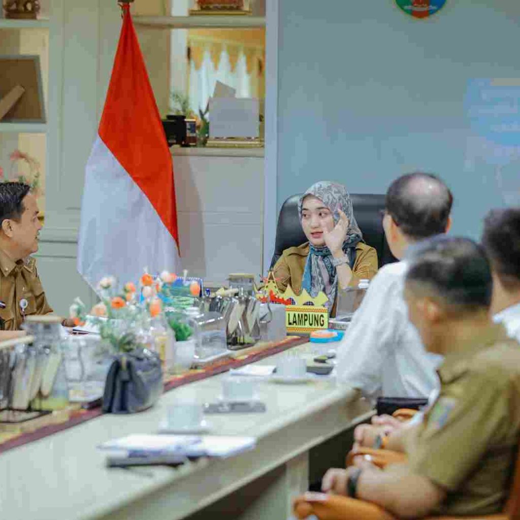 Wagub Jihan Nurlela Pimpin Rapat Program Kelas Migran Vokasi, Bahas Peluang Pengembangan Kerja Sama ke Korea Selatan