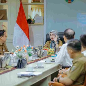 Wagub Jihan Nurlela Pimpin Rapat Program Kelas Migran Vokasi, Bahas Peluang Pengembangan Kerja Sama ke Korea Selatan
