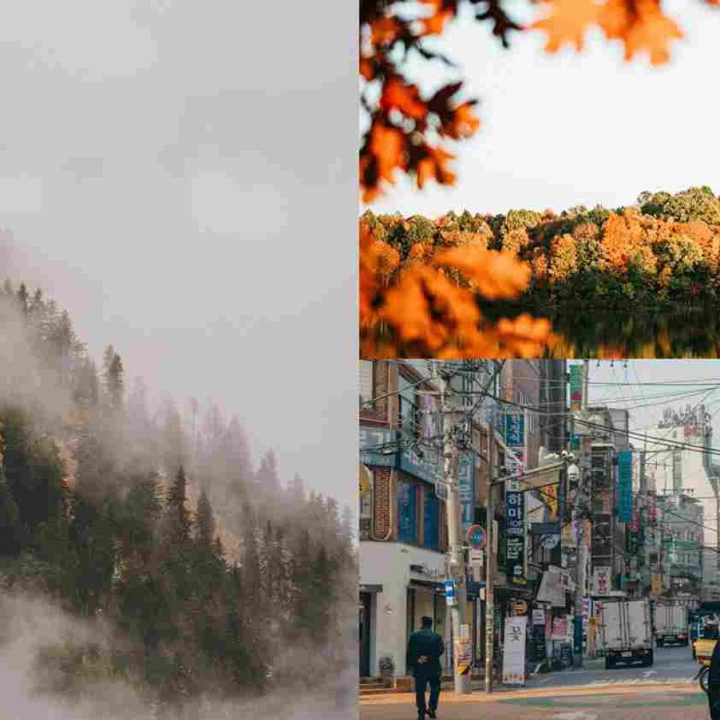 Eksotika Musim Gugur di Korea: Panduan Itinerary Santai Seoul, Nami, dan Everland