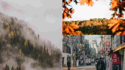 Eksotika Musim Gugur di Korea: Panduan Itinerary Santai Seoul, Nami, dan Everland