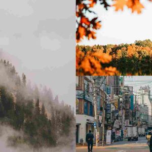 Eksotika Musim Gugur di Korea: Panduan Itinerary Santai Seoul, Nami, dan Everland